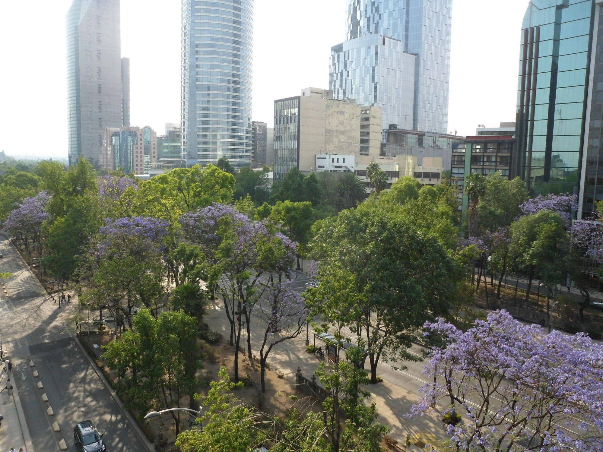 Suites Capri Reforma Ángel 380 Città del Messico Esterno foto